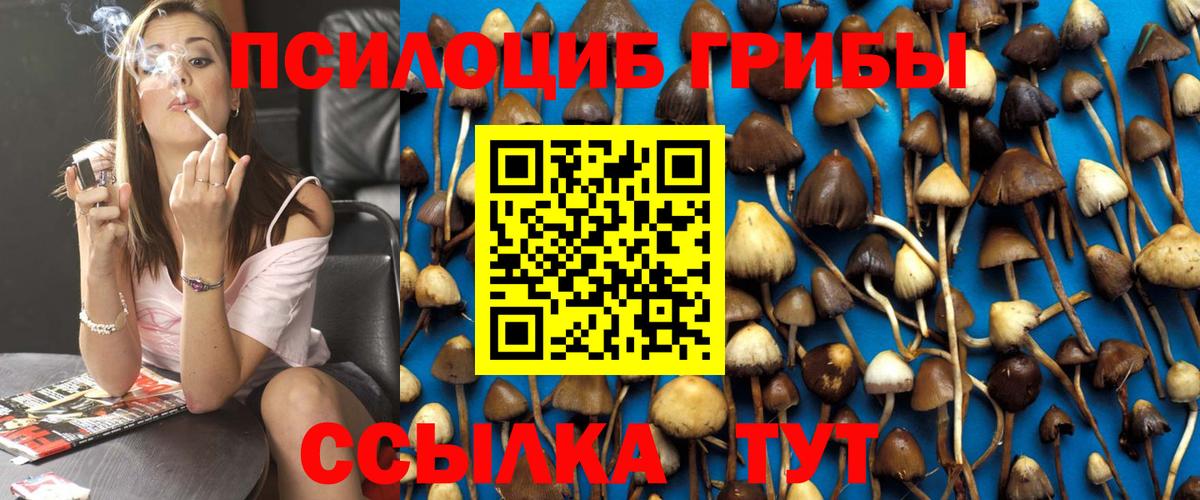 Псилоцибиновые грибы мухоморы Усолье-Сибирское
